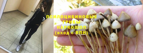 индика Михайловка