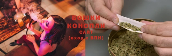 индика Михайловка