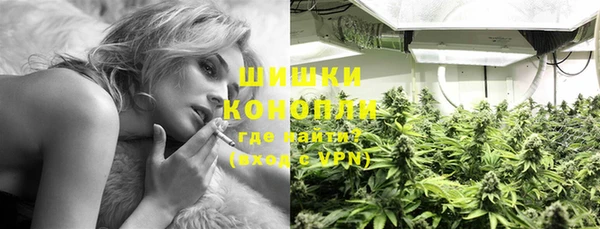 ECSTASY Медногорск