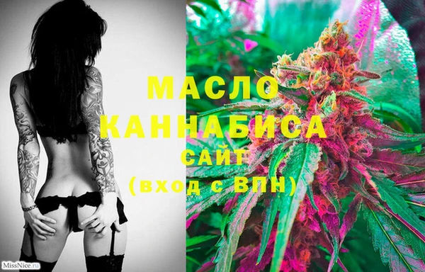 молекула духа Мегион