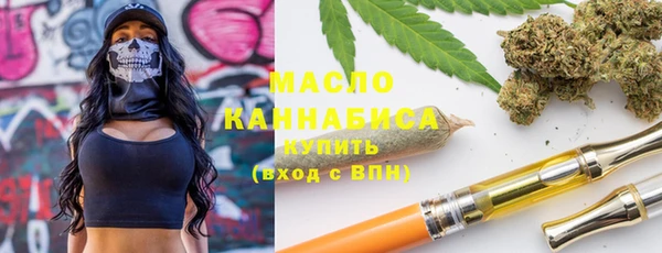 индика Михайловка